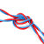 CN30 双色双绞花线双股软电线阻燃型RVS国标铜芯软线 单位：卷 （2芯2.5平方100米）红蓝
