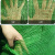 吉泰易盛-防尘网 绿色5针-整卷10米宽（8）X50米长--5件起批