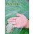 塑料薄膜整卷加厚PE膜透明防雨布防尘遮盖高密度包装膜防水塑料布 厚度3S【0.03毫米】整卷图片参考图片 1.5m