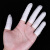 京斯坦 一次性手指套胶指套无菌无粉工业电子乳胶 指套 白色乳胶手指套  小码500克 