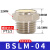 气动接头平头铜消声器BSLM-01/02/03/04/06/M5铜质静 BSLM-04 (4分)