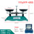 实验用托盘天平称高精度架盘机械克称秤学生初中物理教学老式教具 砝码  200g