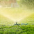 自动旋转浇水喷头园林灌溉喷淋头园艺淋菜淋水洒水器喷水菜园草坪 黄色