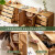 原始原素全实木斗柜橡木收纳柜现代简约卧室储物柜B2101 (橡木-原木色)格林组合柜(宽4抽)