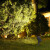 灯典（DENG DIAN）别墅道路树木射灯花园景观绿化射树灯防水户外草坪灯照树灯底座款G-003729 12w 3000K IP65