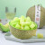 泽鲜达 日本引种玫珑蜜瓜 冰淇淋网纹瓜哈密甜瓜新鲜水果 单果2.5斤左右 1个玫珑蜜瓜
