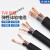 定制津达国标铜芯护套线2芯3芯软橡套电缆线RVV1.5 2.5 4 6平议价 2芯4平方(10米)