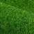 居拾忆 仿真草坪垫子绿色假草人造草皮户外室内装饰人工塑料幼儿园装饰垫绿化装饰专用 50mm春草色/平方