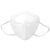 蓝炎 安全防护口罩 富瑞德 口罩 N95口罩  N95耳挂式白色（1片装）