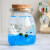 瑰季海藻球微景观生态瓶水培球藻创意迷你植物室内盆栽绿植小礼物 150ml叽喳精灵（含2颗满月）