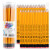 书写铅笔HB学生绘图铅笔4200 36支筒装HB带橡皮头