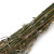 科力邦（Kelibang） 竹扫把 竹柄5斤款 KB3427（1把）