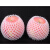 元井汇（YUANJINGHUI）水果装内膜套袋泡沫网袋震网套苹果纳袋 青芒(加厚)17*7=580