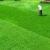 谋福 122 草坪垫子工程围挡假草绿色人造人工草皮户外仿真装饰地毯塑料绿植25cm夏草定做(加密加厚)2米*2米