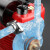 德力西（DELIXI）增压泵家用全自动自来水管道加压泵小型抽水泵自吸泵加压水 升级压力款-380W