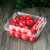 一次性水果盒 超市一次性水果包装盒透明塑料盒水果500M水果店一 2518H6透明-整箱1000个