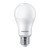 飞利浦（PHILIPS）经济型灯泡LED球泡LED灯泡灯管卧室光源螺口 13W E27 冷光6500K 12个/箱 1箱