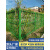 户外仿竹护栏新农村改造不锈钢菜园围栏耐用铝合金仿竹节管篱笆厚 仿竹节管