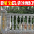 别墅欧式罗马柱模具栏杆围栏阳台护栏花瓶柱现浇水泥建筑模板圆柱 方形5米+大柱2根【重复使用50次】 84x84x84cm