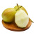 锁季红香梨新鲜水果现摘当季梨子酥脆甜可口香梨薄皮梨子整箱河北特产 3斤（净重2.5-2.8斤）