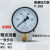 Y-100普通气,水上海天川0-0.1,0.16,0.25,0.4,0.6,1,1.6P 压力范围0-100MPA
