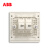 ABB开关插座 轩致框 朝霞金 二位6类六类网络插座AF329-PG