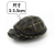 八戒姐姐果核龟苗浅水龟深水龟果核蛋龟小型泥龟观赏龟小乌龟宠物龟 果核1-2cm