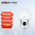 大华（dahua）智能球机 25倍变焦200万全彩声光警戒 6英吋室外全景球机云台联动摄像机 DH-SD6225-A-PV-i