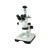 BM彼爱姆 体视显微镜XTZ-ED（变倍、7-45X）