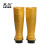 莱尔 R-11-19  耐酸碱防滑耐磨安全靴雨靴防护靴 黄色 39码 一双