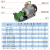 光泉不锈钢慢速齿轮泵 卸柴油液压机油齿轮油泵便捷式手提微型220v单相4极小型wcb电动抽油泵 WCB-75F/4 220V