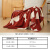 水星家纺毛毯加厚冬天毛巾被午睡毯子办公室空调毯单双人毛毯 复古兔兔半边绒毯(中国红) 130cm×170cm