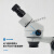 新讯双目连续体视显微镜 7-45倍焊接变焦 手机维修高清主板放大镜 三目7-45 X 连续变焦 SZM45T-B1