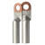 丰稚 接线端子 铜铝过渡鼻子 铝线压线接头 电缆电线耳 DTL-10铜铝鼻子 (10只)