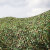 蓓尔蓝WAB0493 防航拍伪装网迷彩遮阳网丛林迷彩防护网绿化迷彩网 3*3米（每平约90克)