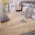 欧地毯卧室床边毯客厅毛绒房间铺儿童茶几毯加厚简约家用 银灰色 100x160cm