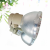 和谱森 适用于明基投影机灯泡W1200+/P1100/HP3325/MP670原装投影机灯泡 原装灯泡（下单请备注机器型号） MX518 EP5235
