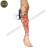 先锋卫勤 XF-BLA2020004穿戴式四肢止血训练模块 佩戴式创伤四肢模拟组件 （止血训练套件 血液循环系统）