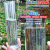 科睿才雨量筒塑料雨量器小学生科学地理仪器雨量计不锈钢雨量筒自制雨量杯 雨量筒 7002