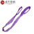 迪万奈特 柔性环形吊带多规格大吨位工业起重吊带高强度柔性涤纶吊装带 1T*1M紫色 