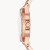 ROGMICHAEL KORS迈克·科尔斯MK女士Lennox Pav系列玫瑰金时尚镶钻石