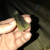钢板防护罩铜滑道耐磨黄铜机床铜条铜滑道数控机床铜滑轨耐磨铜片 4X15铜滑片（2米）