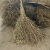 金绿士 竹杆式【1.5斤1把】竹扫把 环卫清扫物业工厂道路学校园区商用扫帚植物大扫把笤帚