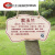 牌子树牌介绍公园定制植物插地绿化学校挂牌树木牌铭牌信息不锈钢 SP-04 30x20cm