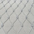 丰昂 不锈钢绳网动物园笼舍鸟语林编织绳网安全防护防坠网柔性防护网 3毫米粗2厘米孔/平米价