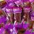 君臣乐水晶紫薯仔独立包装番薯仔紫薯干番薯干即食地瓜干休闲小零食批发 30包装