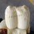 广东高州原生态粉蕉高州大香蕉芭蕉小时候的味道新鲜南蕉丑蕉 3斤 （高州粉蕉）