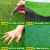 仿真草坪地毯人工假草皮户外铺垫人造塑料草绿色围挡足球场幼儿园 1.5厘米特密款军绿50平方