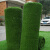 科力邦（Kelibang）仿真人造草坪地毯 塑料假草皮阳台公园装饰绿植绿色地毯 足球场草坪 加密军绿20mm KB1218