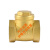 铜止回阀水管水泵用逆止阀自来水单向阀 大型DN15(软密封)(1/2)(4分)